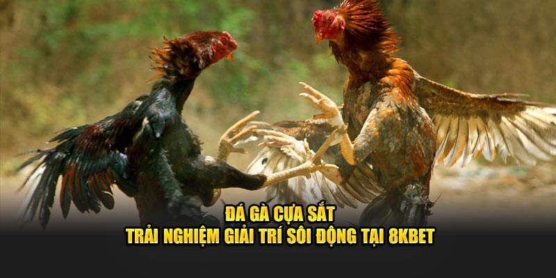 Đá Gà Cựa Sắt