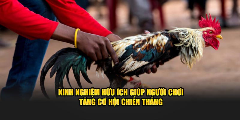 Kinh nghiệm hữu ích giúp người chơi tăng cơ hội chiến thắng tại nền tảng